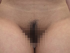 人妻全裸図鑑 12名の奥様が恥らいながら脱衣していき、年相応の裸体をカメラに見せつける 変態紳士のためのヘアヌードコレクション　サンプル画像04